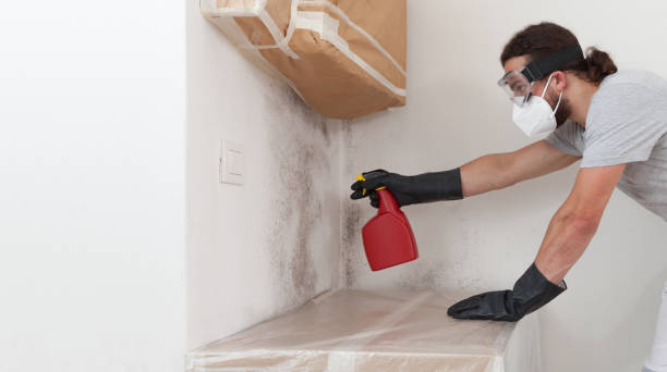 Professional Basement Mold Remediation technician working in Mears, MI